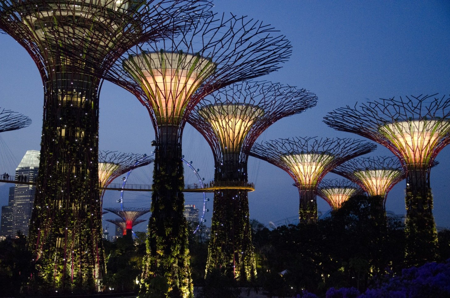 garden by the bay singapura night