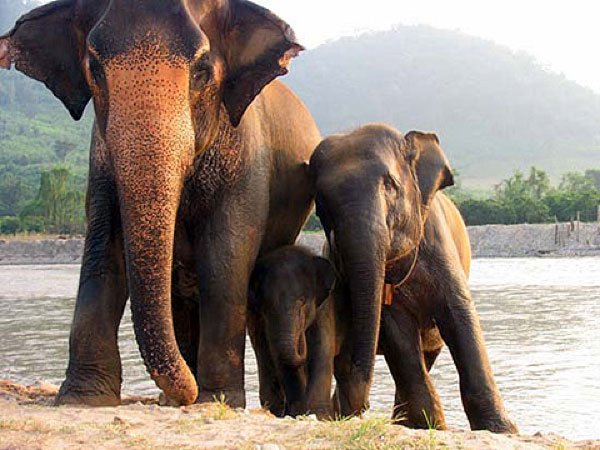 tailandia 03