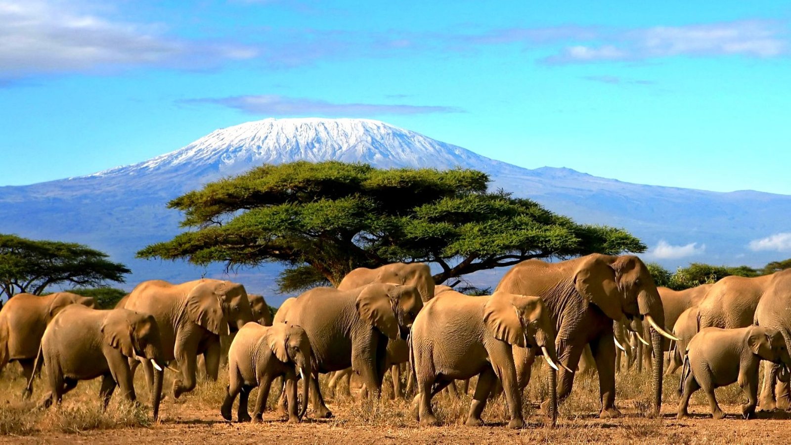 Kenya e Tanz&acirc;nia