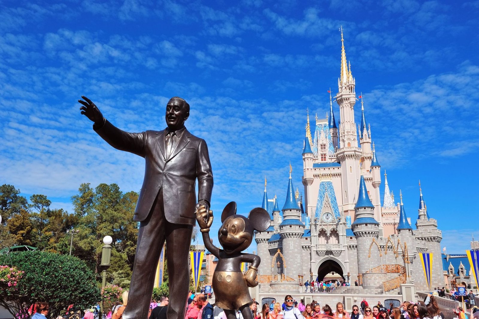 Pacotes Disney