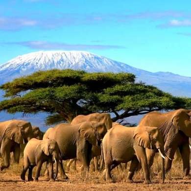 Kenya e Tanzânia